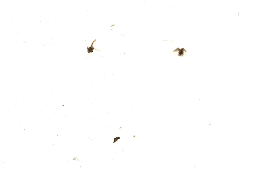 Image 93